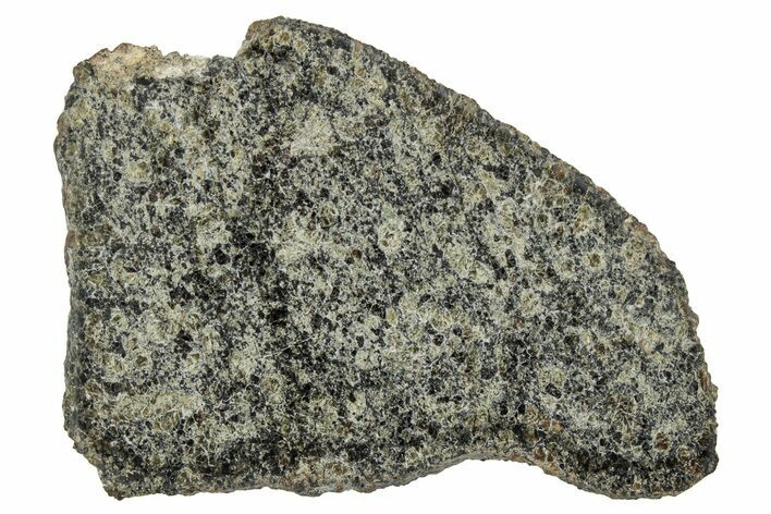 Martian Shergottite Meteorite ( g) Slice - NWA #337552